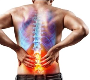 Dile adiós al dolor de espalda baja: ejercicios de fisioterapia y